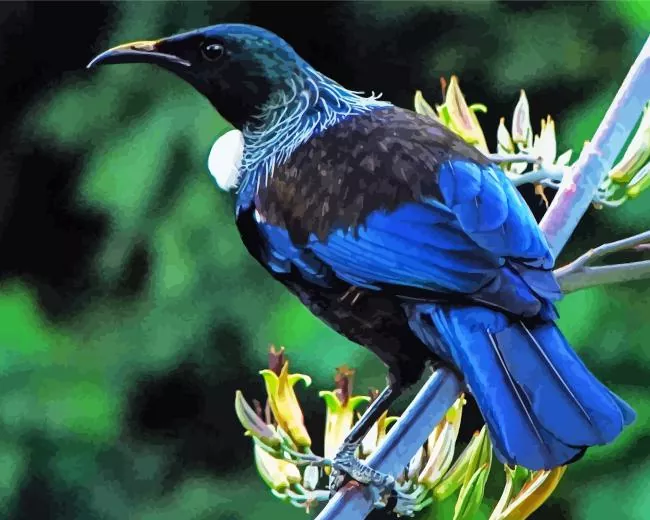 blue cute Tui bird Diamond Paints Blue Cute Tui Bird Diamond Painting