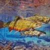 Brook Trout Underwater Diamond Painting