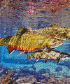 Brook Trout Underwater Diamond Painting