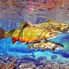 Brook Trout Underwater Diamond Painting