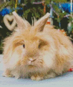 Brown Angora Rabbit Diamond Painting
