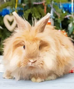 Brown Angora Rabbit Diamond Painting