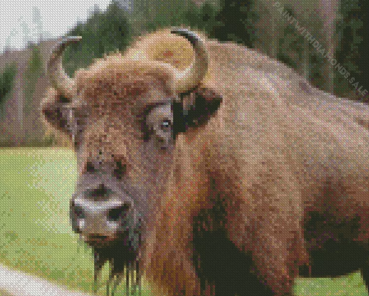 brown Bison Diamond By Numbers Brown Bison Diamond Painting