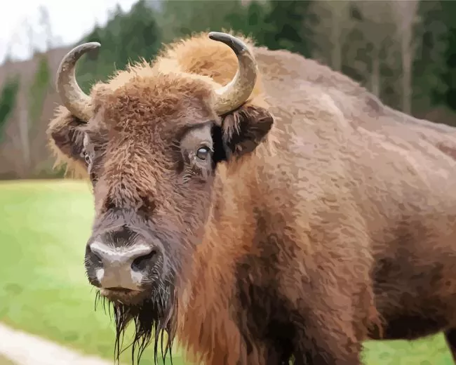 brown Bison Diamond Paintings Brown Bison Diamond Painting