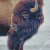 Brown Bison In Snow Diamond Painting