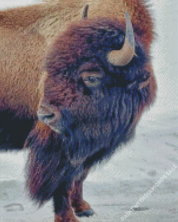 brown Bison in snow Diamond By Numbers Brown Bison In Snow Diamond Painting
