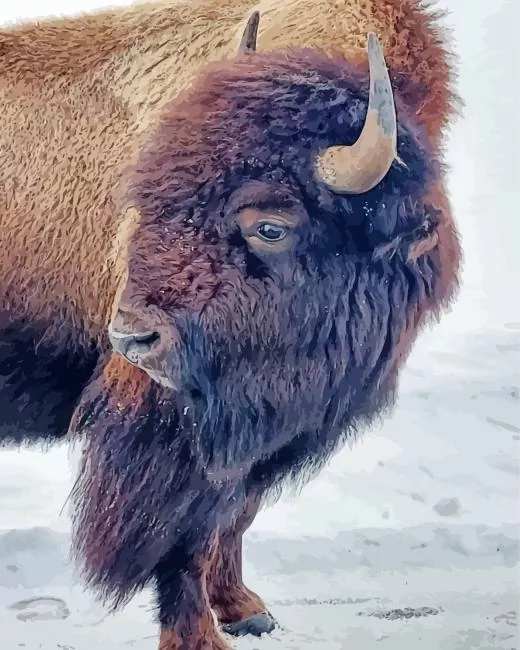 brown Bison in snow Diamond Paintings Brown Bison In Snow Diamond Painting