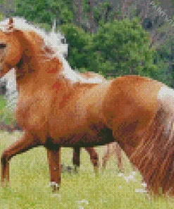 Brown Palomino Horse Diamond Painting