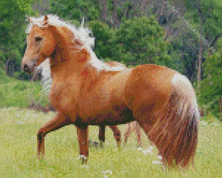 brown Palomino horse Diamond By Numbers Brown Palomino Horse Diamond Painting