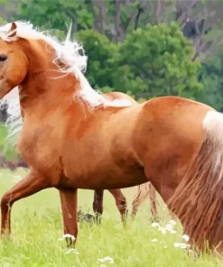 Brown Palomino Horse Diamond Painting