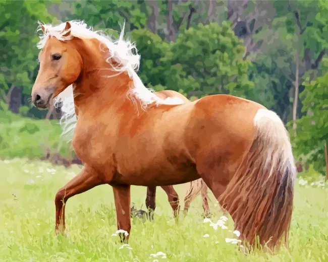 brown Palomino horse Diamond Paintings Brown Palomino Horse Diamond Painting