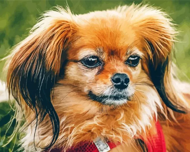 brown Papillon dog Diamond By Numbers Brown Papillon Dog Diamond Painting
