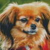 Brown Papillon Dog Diamond Painting