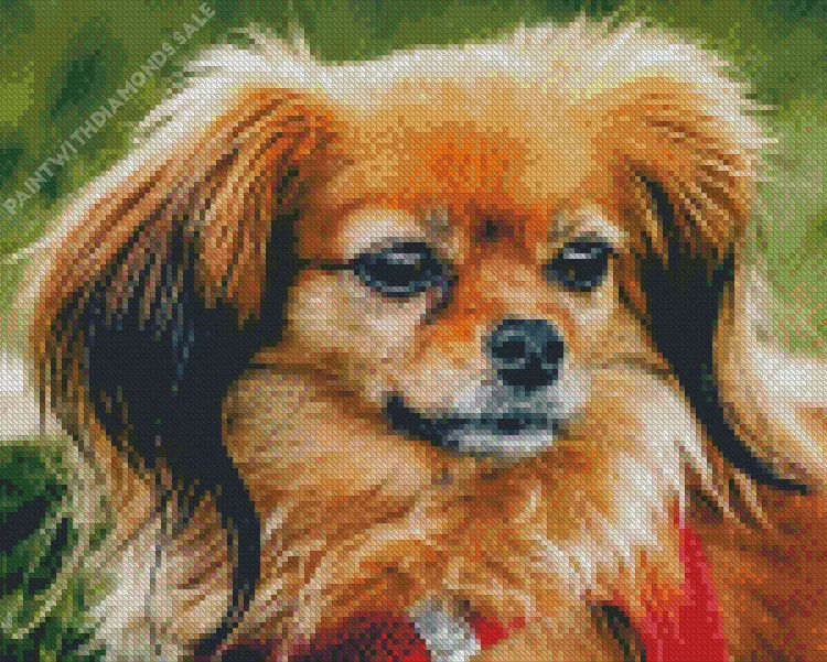 brown Papillon dog Diamond Paints Brown Papillon Dog Diamond Painting
