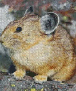 Brown Pika Diamond Painting