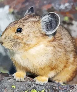 Brown Pika Diamond Painting