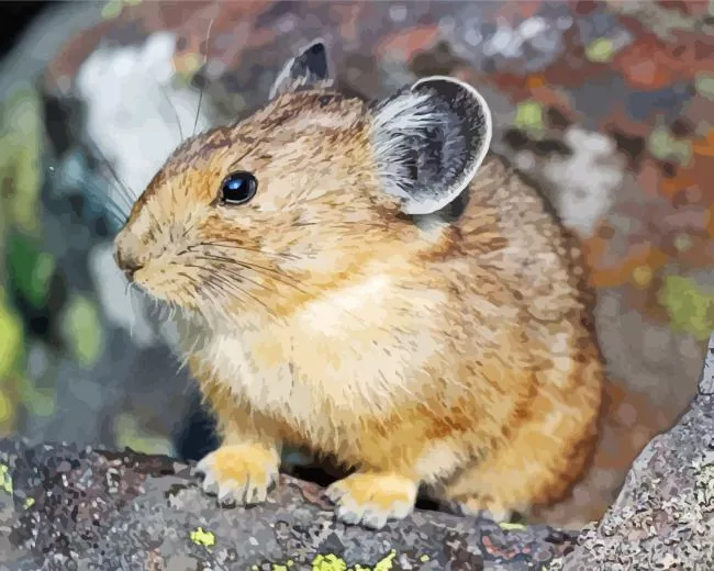 brown Pika Diamond Paintings Brown Pika Diamond Painting