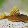 Brown Pleco Fish Diamond Painting