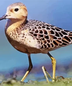 Brown Sandpiper Bird Diamond Painting