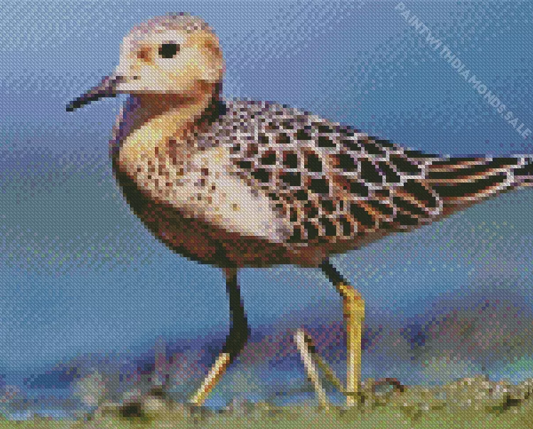 brown Sandpiper bird Diamond Dotz Brown Sandpiper Bird Diamond Painting