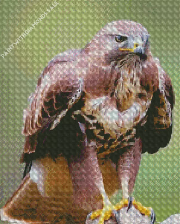 brown and white Common Buzzard Diamond Dotz Brown And White Common Buzzard Diamond Painting