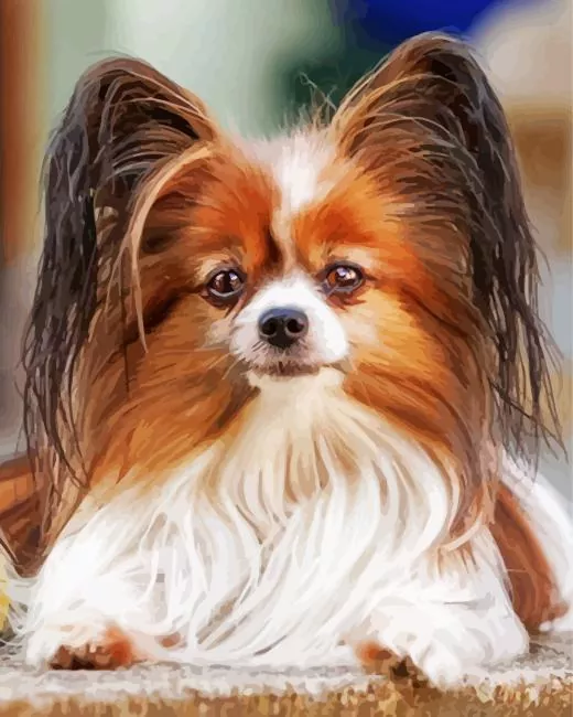 brown and white Papillon dog Diamond By Numbers Brown And White Papillon Dog Diamond Painting