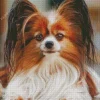 Brown And White Papillon Dog Diamond Painting