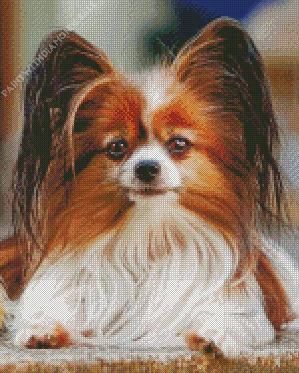 brown and white Papillon dog Diamond Paints Brown And White Papillon Dog Diamond Painting