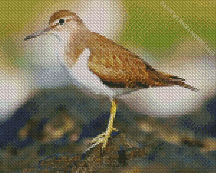 brown and white Sandpiper Diamond Dotz Brown And White Sandpiper Diamond Painting