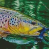 Brown Trout Close Up Diamond Painting