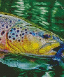 Brown Trout Close Up Diamond Painting