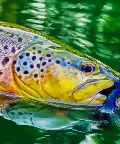 Brown Trout Close Up Diamond Painting