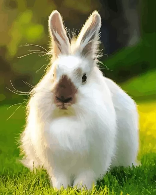 brown white angora rabbit Diamond Paintings brown White Angora Rabbit Diamond Painting