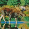 Bull Moose Water Diamond Painting
