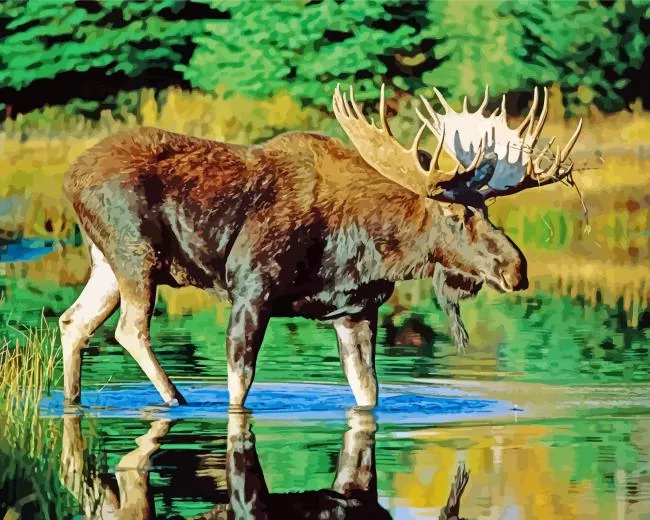 bull moose water Diamond Paintings Bull Moose Water Diamond Painting