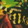 Butterfly Pleco Fish Diamond Painting