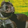 Cane Corso Diamond Painting