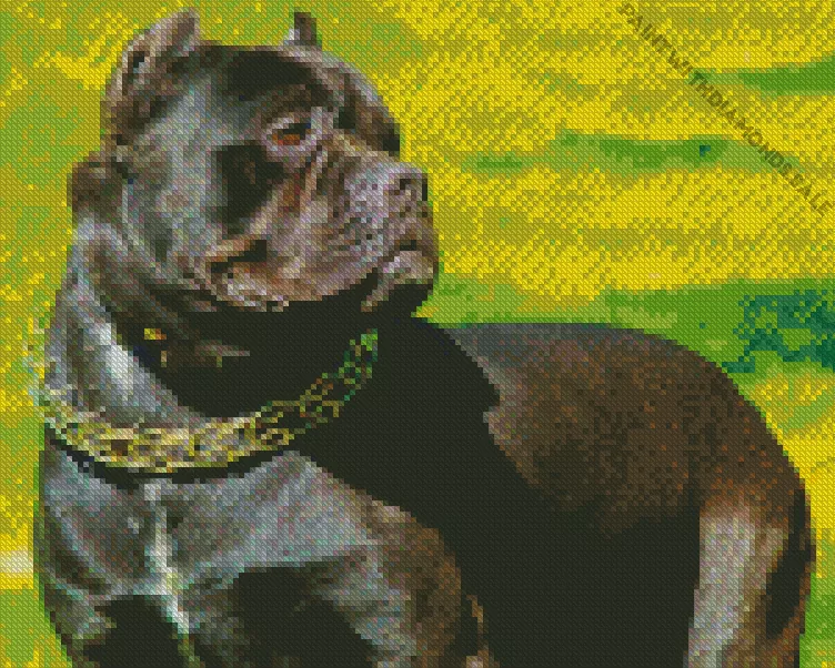 cane corso Diamond Dotz Cane Corso Diamond Painting