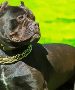 Cane Corso Diamond Painting