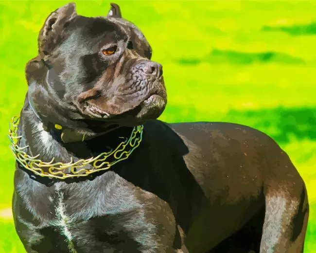 cane corso Diamond Paintings Cane Corso Diamond Painting