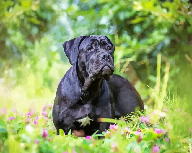 cane corso dog Diamond Paintings Cane Corso Dog Diamond Painting