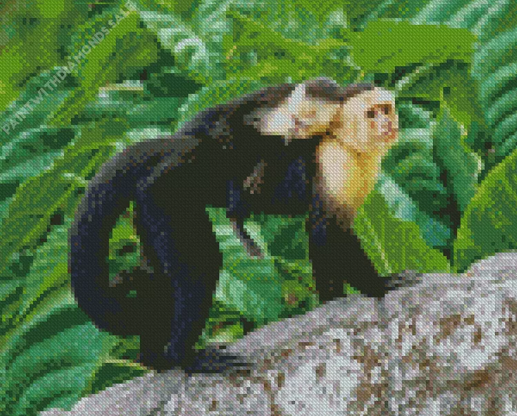 capuchin monkey baby Diamond By Numbers Capuchin Monkey Baby Diamond Painting