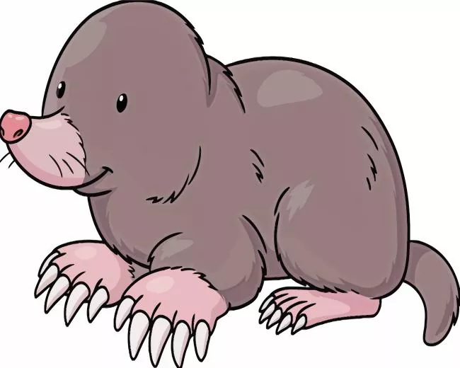 cartoon Mole animal Diamond Paintings Cartoon Mole Animal Diamond Painting