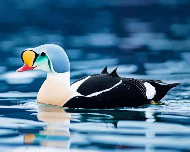 charming King Eider Bird Diamond By Numbers Charming King Eider Bird Diamond Painting