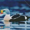 Charming King Eider Bird Diamond Painting
