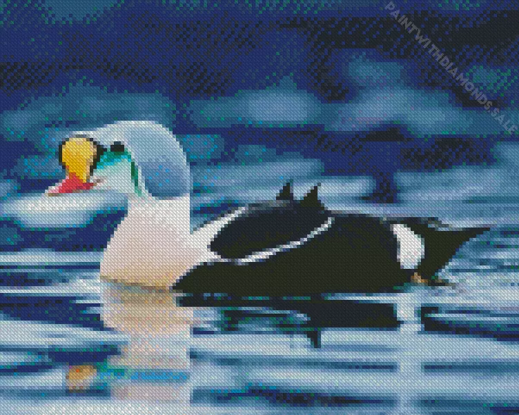 charming King Eider Bird Diamond Dotz Charming King Eider Bird Diamond Painting
