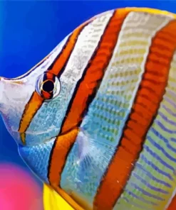 Chelmon Rostratus Diamond Painting