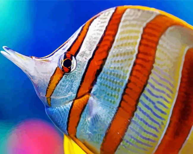 chelmon rostratus Diamond Paints Chelmon Rostratus Diamond Painting