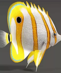 Chelmon Rostratus Fish Diamond Painting