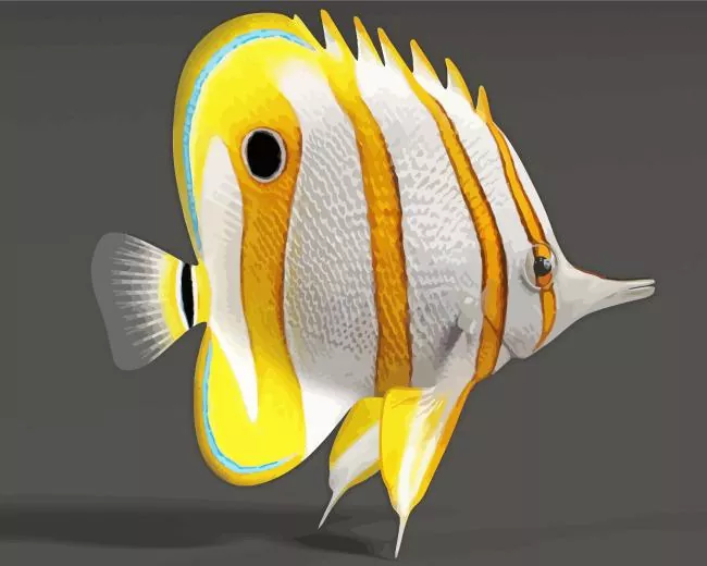 chelmon rostratus fish Diamond Paints Chelmon Rostratus Fish Diamond Painting